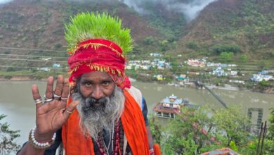 Baba Narayan Giri growing greenery on head