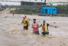 SDRF personnel rescue stranded pilgrims from a swollen river during the Reetha Sahib Jod Mela in Champawat, Uttarakhand.
