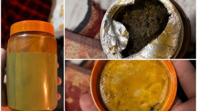 Food safety officials inspect Patanjali food products after complaints of mold and foul odor in Amla Murabba and Papad.