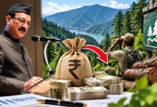 Narendranagar Forest Division budget